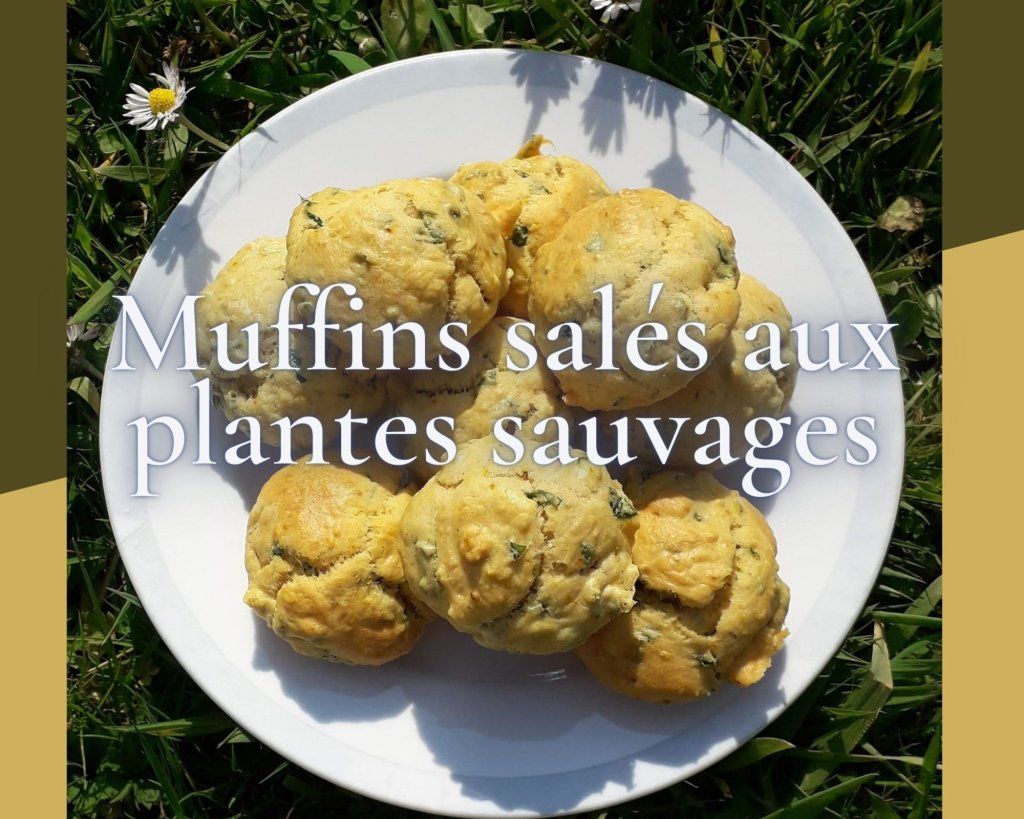 Mes muffins salés aux plantes sauvages